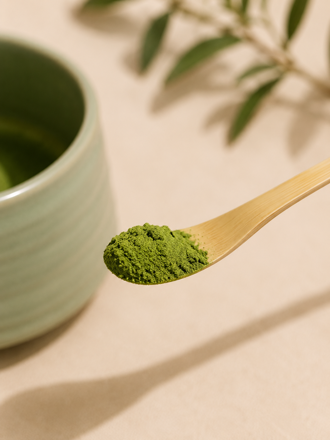 Pack Matcha AKORI